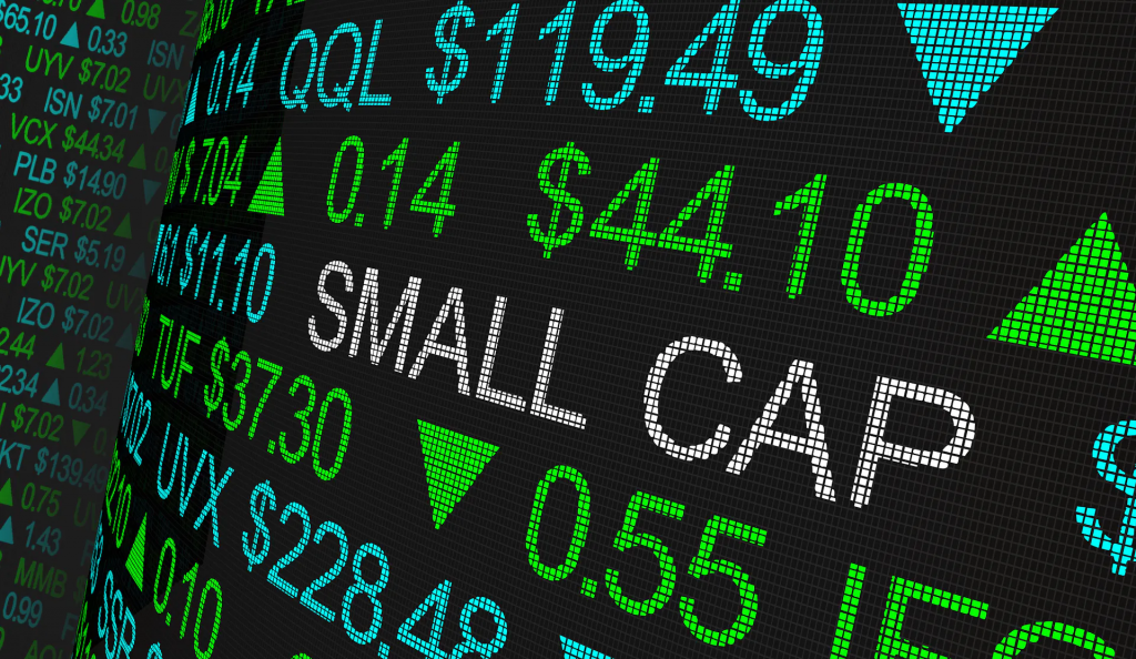 Small Caps Are Beautiful: 2024 NOVEMBER INSIGHTS