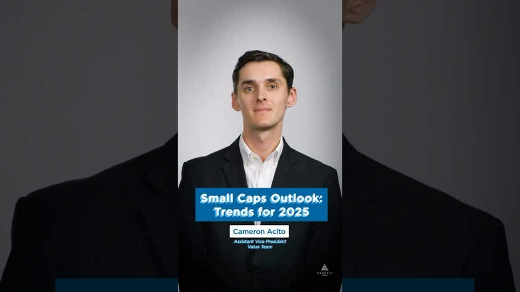 Small Caps Outlook Trends for 2025